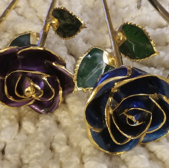 Gold Dipped Roses - Picture 2 of 7